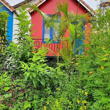 Homestay Nang Nghieng Kon Tum Exterior photo